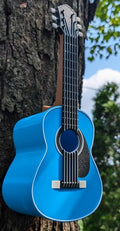 3D Printed Birdhouse- Guitar